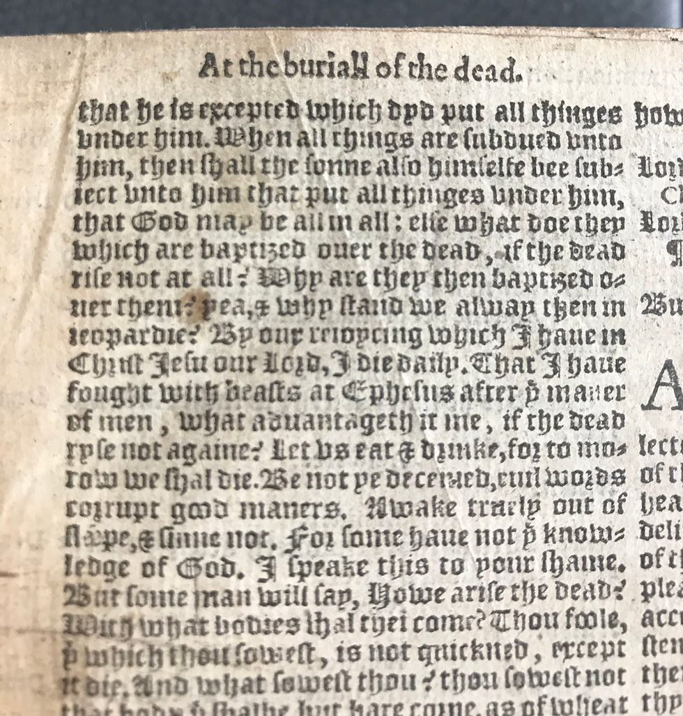 Thumbnail: Geneva Bible, 1581