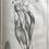 Thumbnail: Browne, Compleat Treatise of the Muscles, first ed. 1681