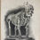 Thumbnail: Barclay & Mitchell, Engravings of the Human Skeleton 1819/1820