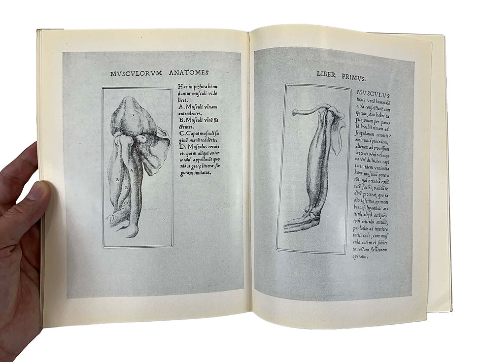 Thumbnail: Cananum, Musculorum Humani, 1962 Facsimile