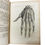 Thumbnail: Albinus, Historia Musculorum Hominis, 1734