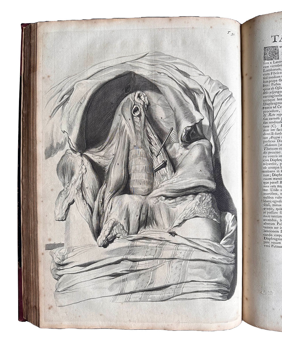 Thumbnail: Cowper, Anatomia Corporum Humanorum, 1739. (Howard Atwood Kelly’s Copy)