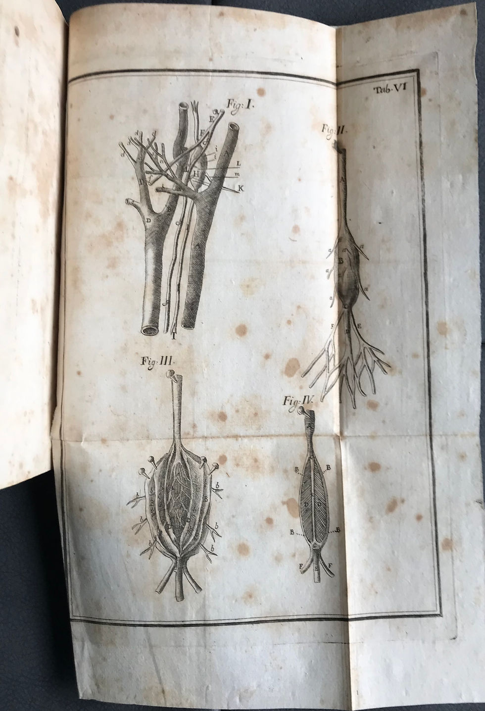 Thumbnail: Lancisi, De Motu Cordis et Aneurysmatibus, 1738