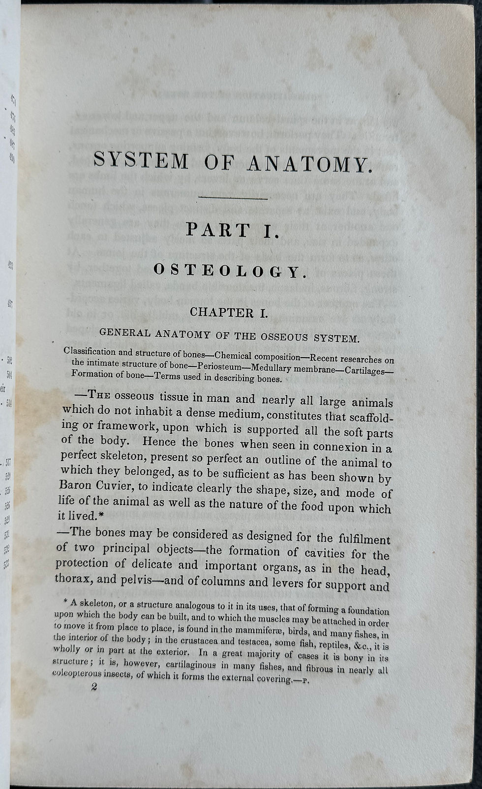 Thumbnail: Wistar's Anatomy (Pancoast), 8th ed, 1842