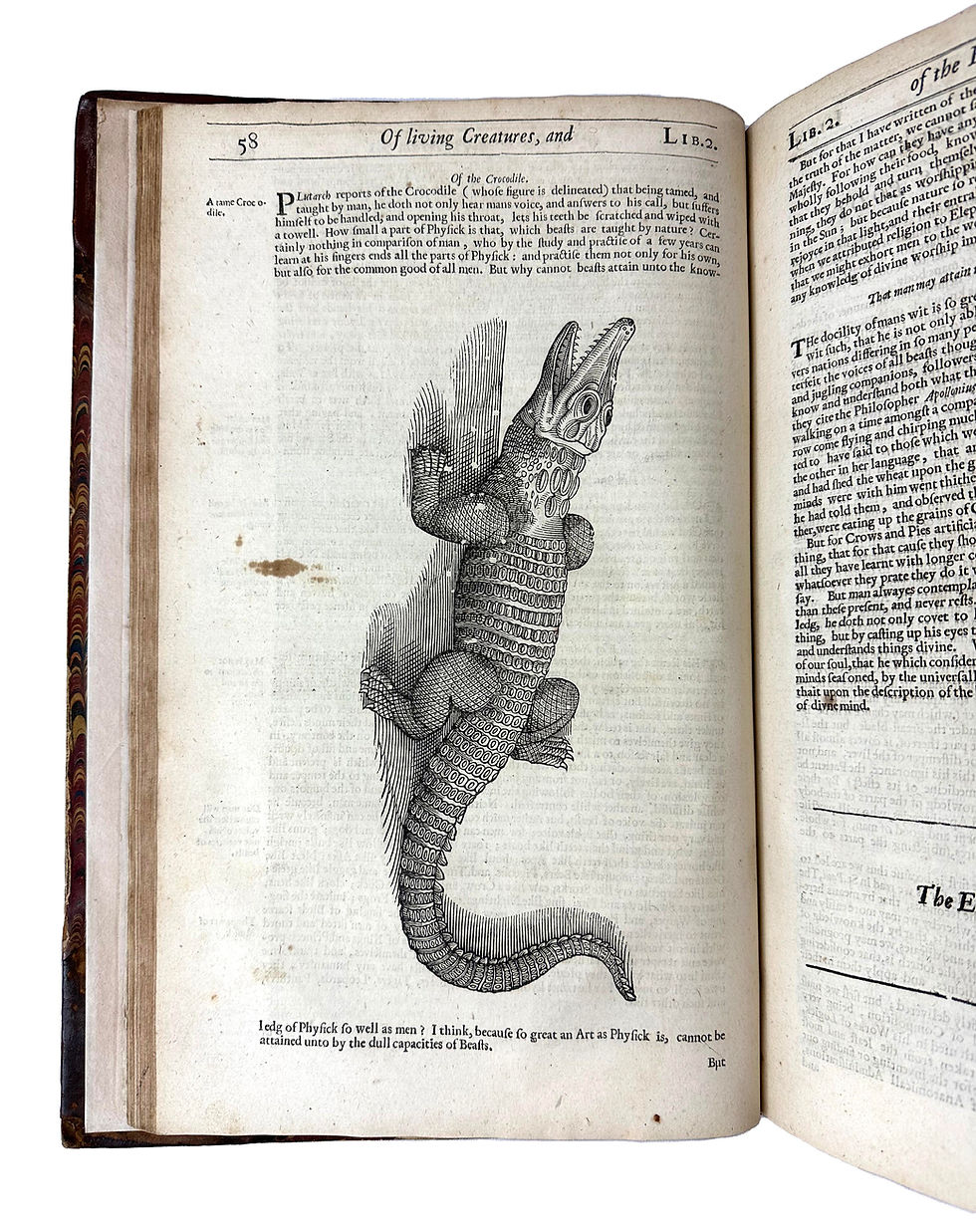 Thumbnail: Pare, Works, 1649