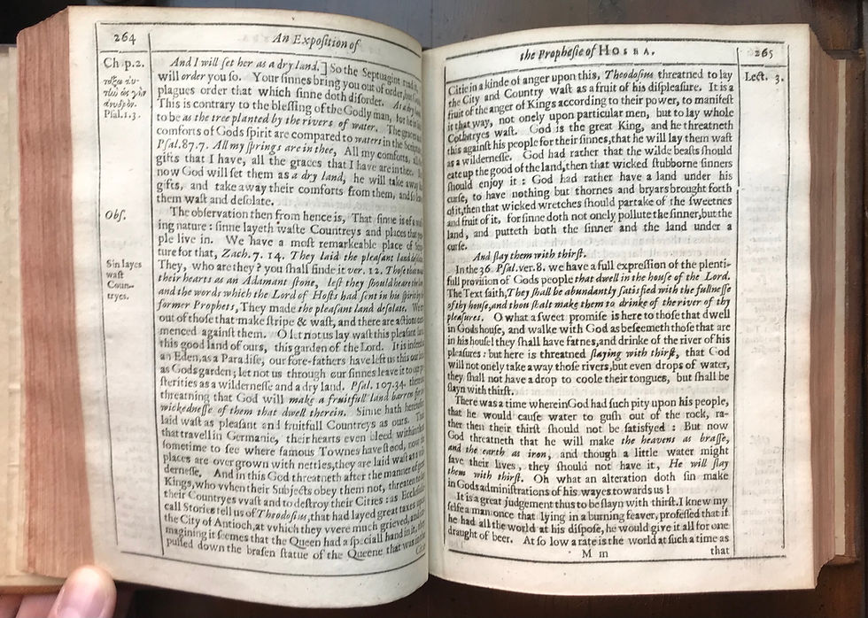 Thumbnail: Burroughs, On Hosea, 1643-1651