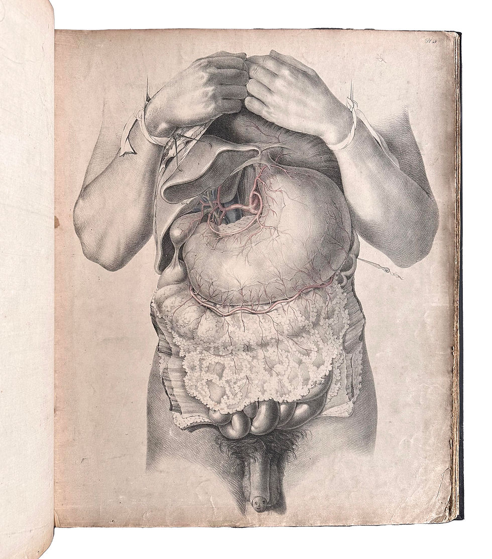 Thumbnail: Quain, Anatomy of the Arteries, 1844