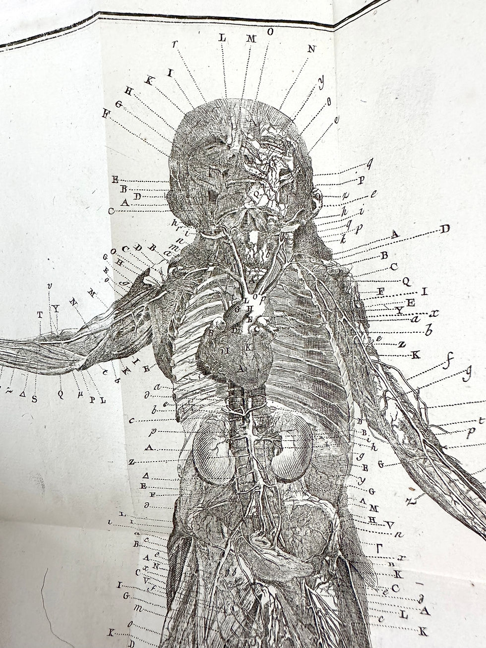 Thumbnail: Winslow, Exposition Anatomique de le Structure du corps Humain, 1776