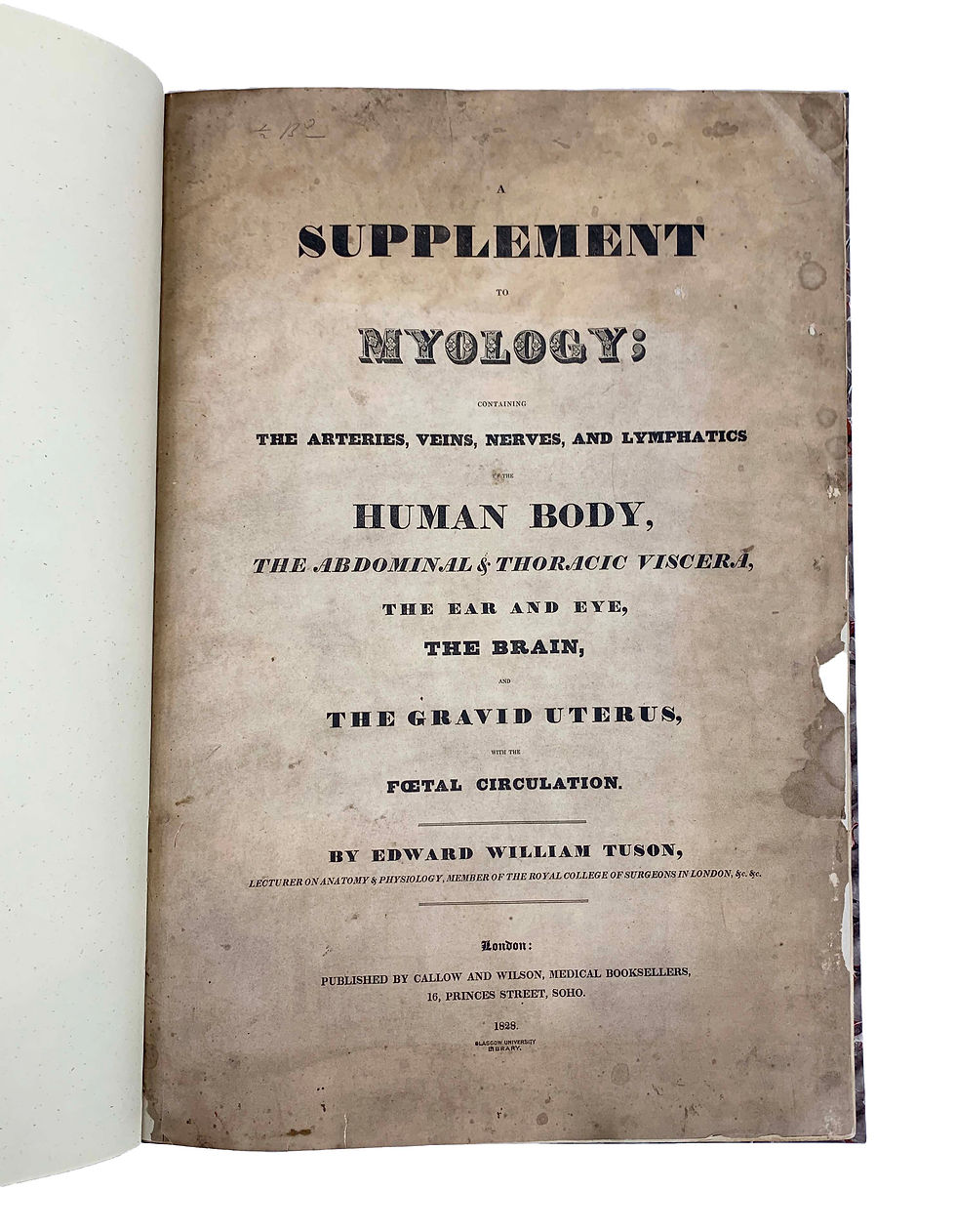 Thumbnail: Tuson, Myology (1825) and Supplement to Myology (1828)