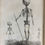 Thumbnail: Barclay & Mitchell, Engravings of the Human Skeleton 1819/1820