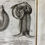 Thumbnail: Willis, Opera Omnia, 1694