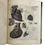 Thumbnail: Ramsay, Anatomical Plates, 2nd ed, 1813