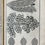 Thumbnail: Collins, Systeme of Anatomy, 1685