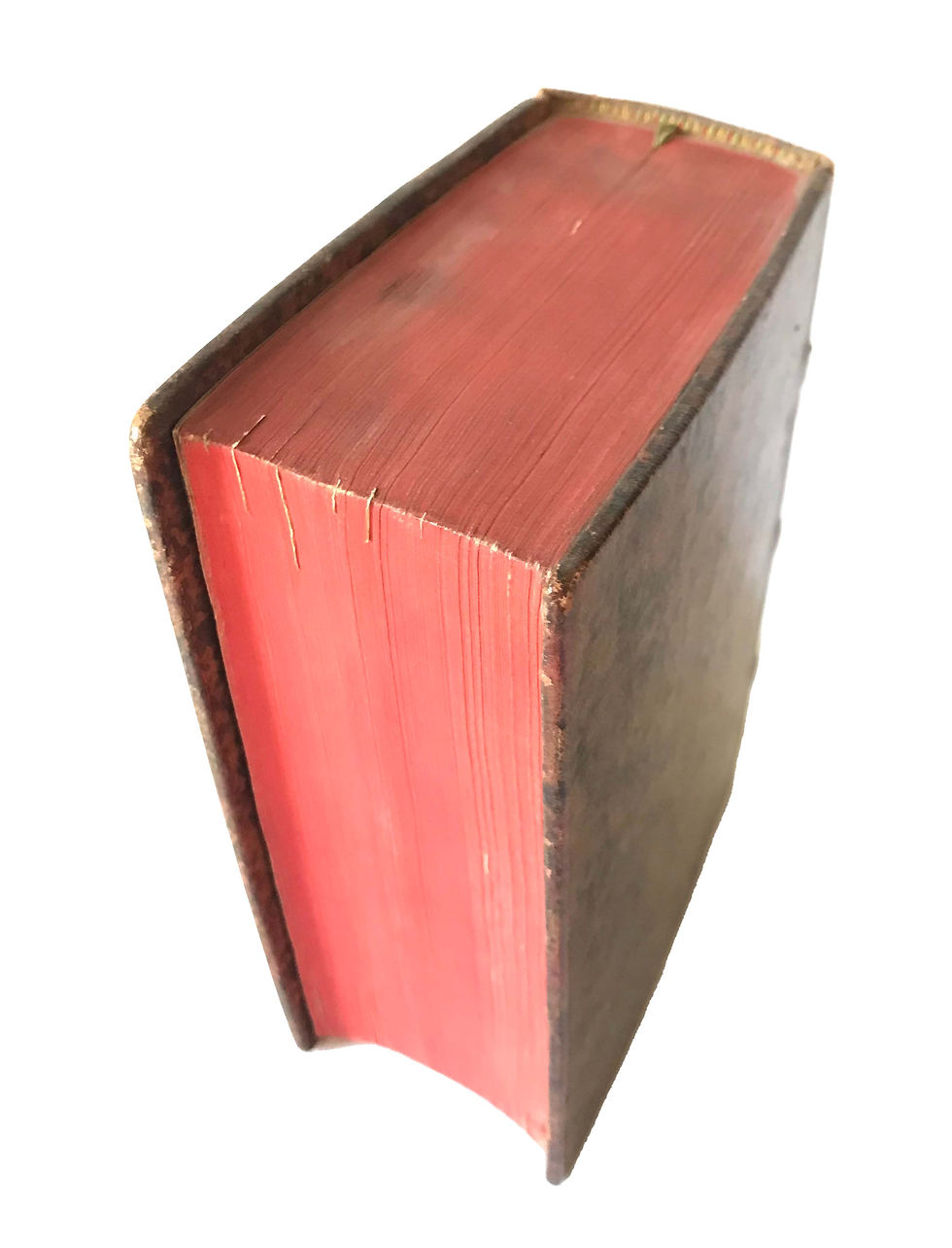 Thumbnail: Fernel, Medicina, 1555