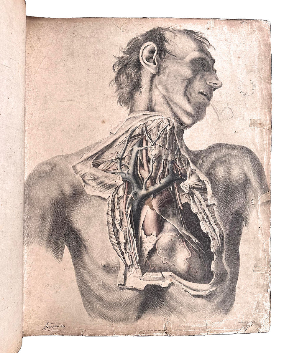 Thumbnail: Quain, Anatomy of the Arteries, 1844
