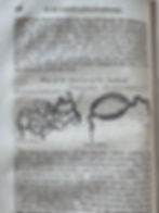 Thumbnail: Bell, Principles of Surgery, 1810