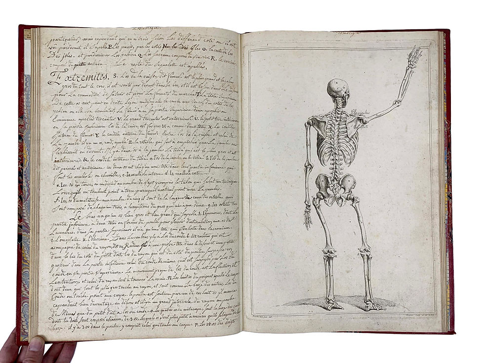 Thumbnail: Tortebat/ De Piles Abrege D’Anatomie, 1765