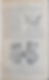 Thumbnail: Gray, Anatomy Descriptive and Surgical, 1883