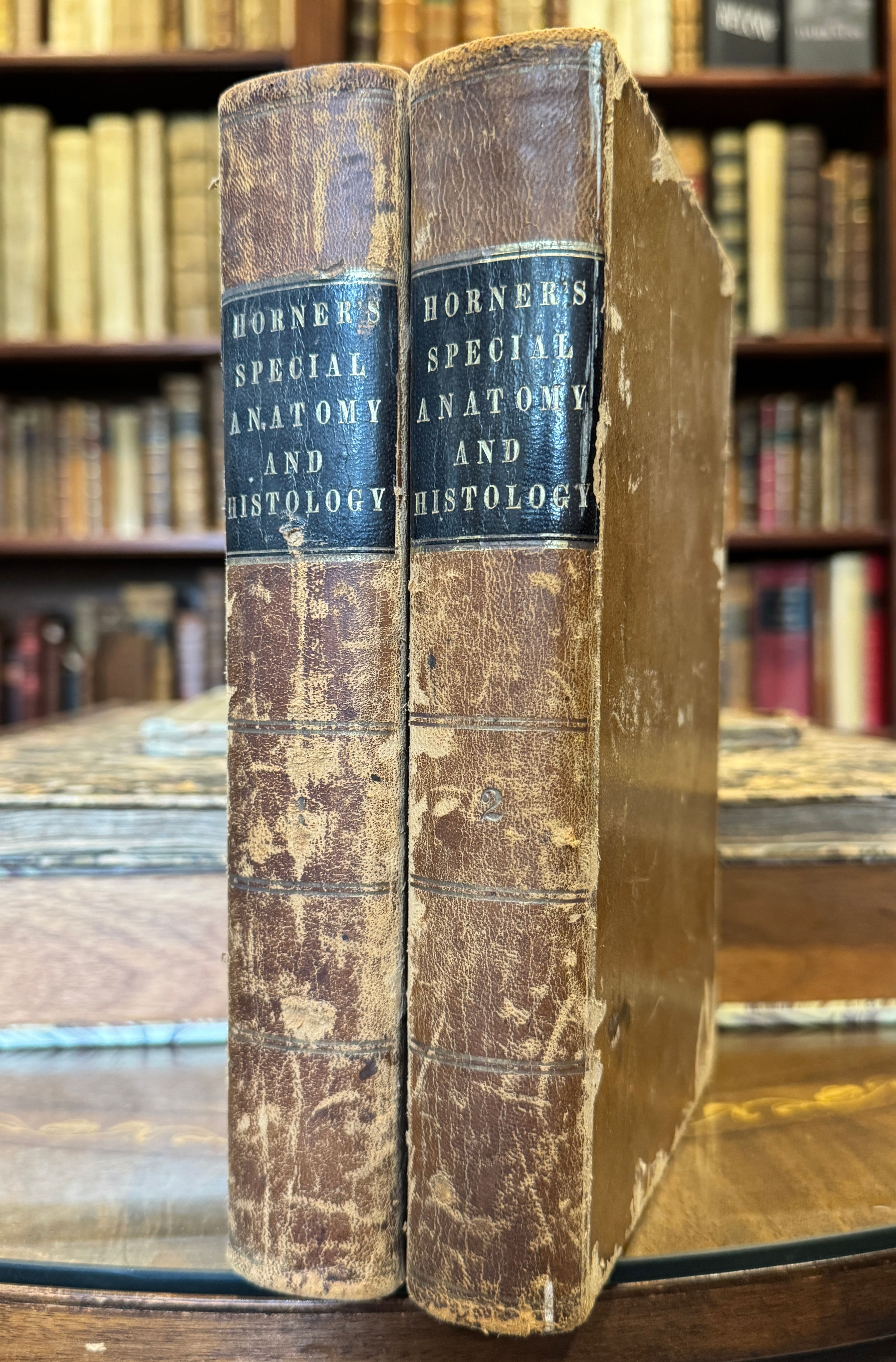 Horner, Special Anatomy and Histology, 1851