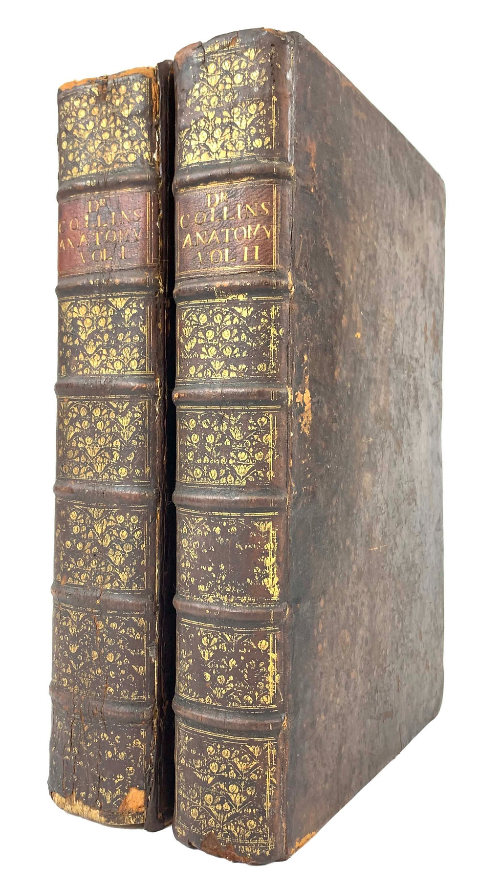 Thumbnail: Collins, Systeme of Anatomy, 1685
