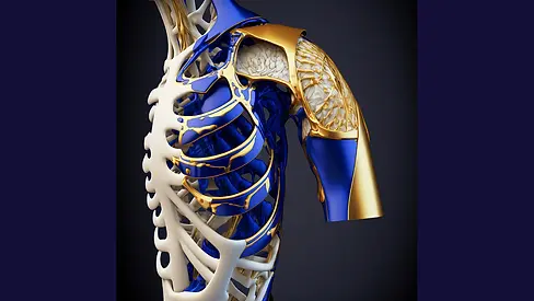 AK_shoulder_01-transformed.webp