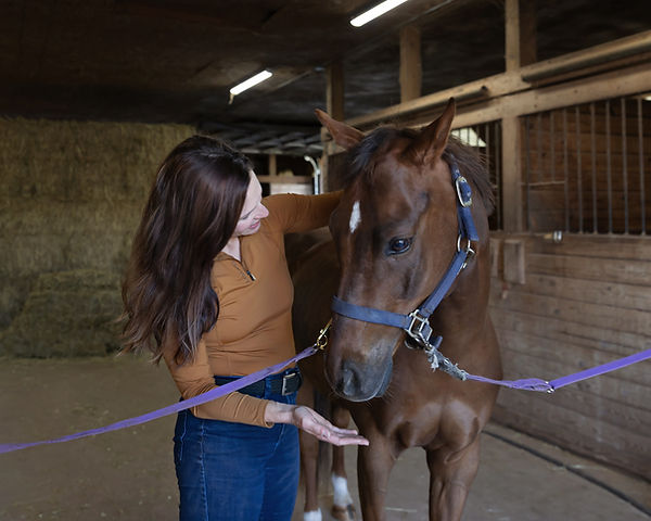 always checking in with your horse to ensure their comfort