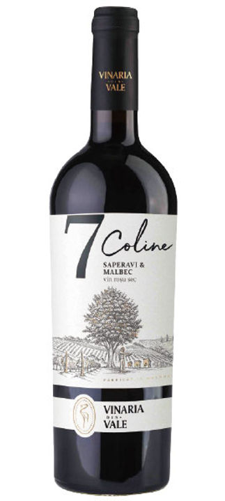 Vinaria din Vale 7 Coline Saperavi & Malbec 2018 | MOLDOVA WINE SHOP
