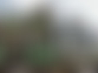 BENI : Deux terroristes ADF ont été neutralisés par les FARDC à Ruwenzorie