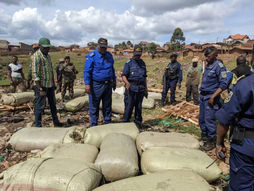 Nord-Kivu : Des exploits de la police nationale congolaise à Butembo