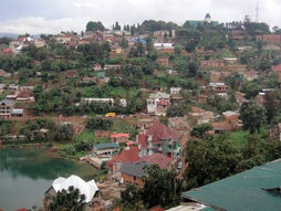 Bukavu : un corps sans vie ramassé vers college alfajiri à nyalukemba.