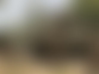 27 rebelles ont été neutralisés par les forces armées de la RDC dans le territoire de Rutshuru.
