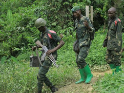 Nord-Kivu : encore 3 ADF neutralisés, un autre capturé par les FARDC ce mercredi à Beni