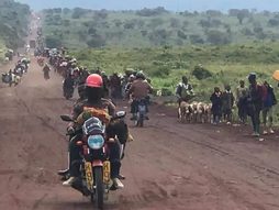 Une Victoire pour les FARDC :  Réouverture de  la route Goma Rutshuru ce dimanche 29 mai 2022.
