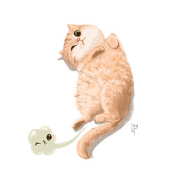 hosico