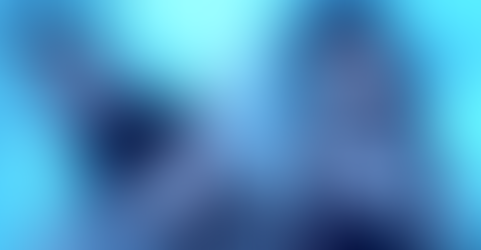 ♡ Concreate Jungle ♡