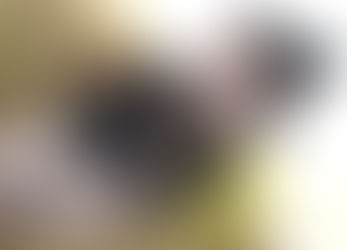 ♡ Where Do I Sign? ♡