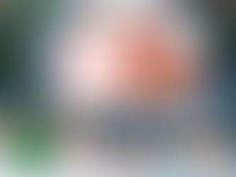 Новий рік по скрипучій дорозі , по снігах України іде, хай же кожен у Новому році щастя й радість дл