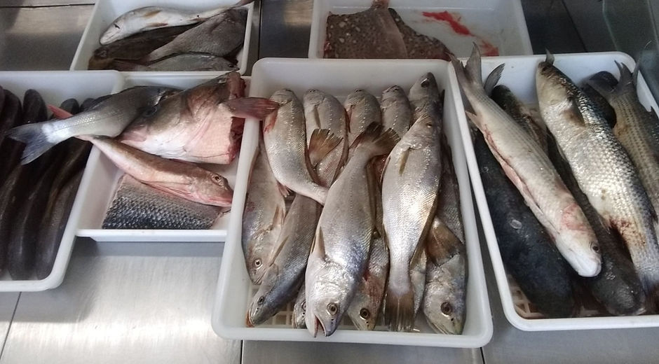 poisson frais