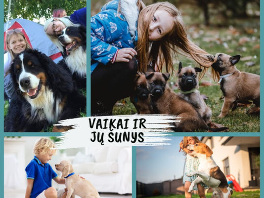 Šunų dresūros grupė vaikams VET Inn