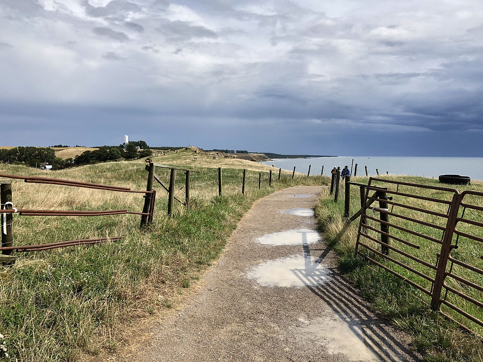 Walking towards Ales Stenar in Skåne - South Sweden