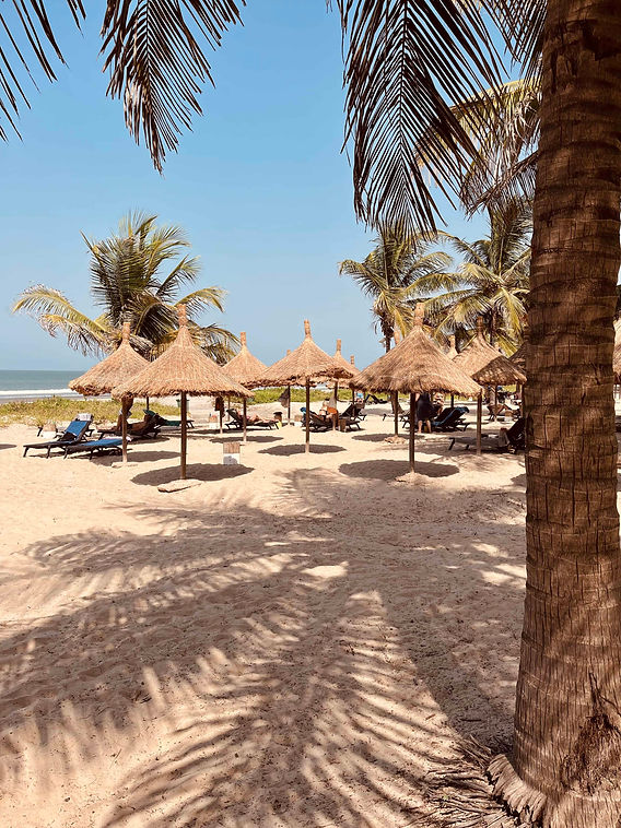Gambia Birdwatching Holidays