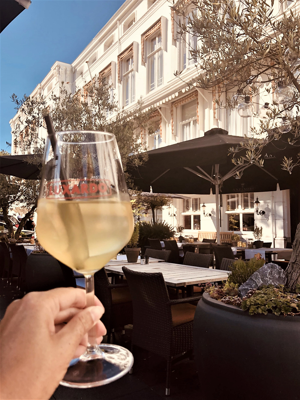Cheers Carlton Ambassador Hotel The Hague Restaurant Sophia - The Netherlands