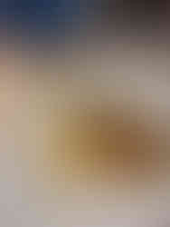 Gastronomic dinner Hostellerie des Châteaux Alsace-France