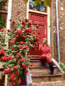 Leiden quaint houses and flowers Netherlands citytrip