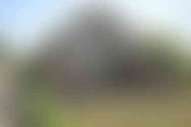 Typical farmhouse Den Ham - Overijssel - the Netherlands