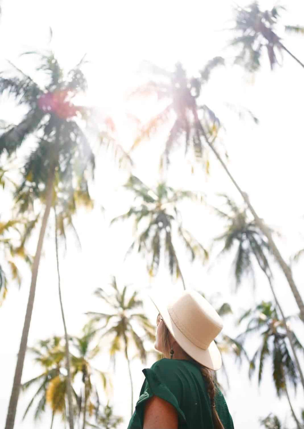 Palm tree galore - Zanzibar