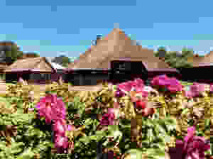 Hall Farmhouses of Beerze in Overijssel - the Netherlands