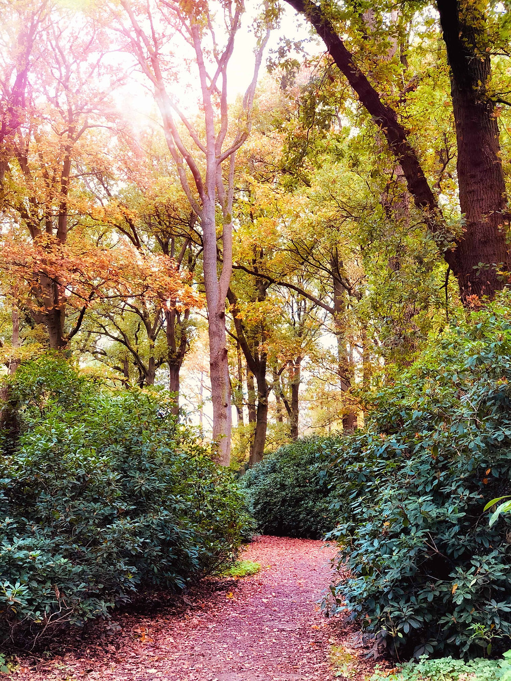 Autumn in Park Clingendael-The Hague Netherlands