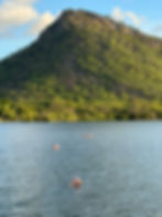 Flamingo watching on Curaçao