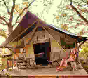 Huttopia Trappeur glamping tent in Overijssel - the Netherlands